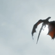 Image for article titled All the Secrets Hidden in Game of Thrones' Brand New Trailer